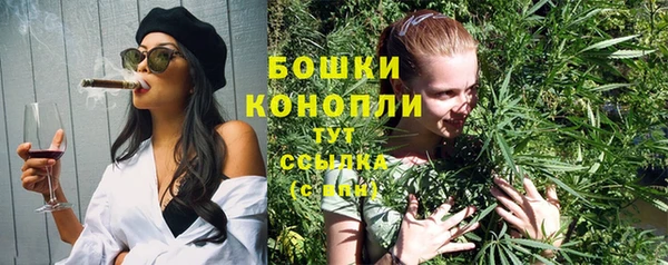 тгк Михайлов