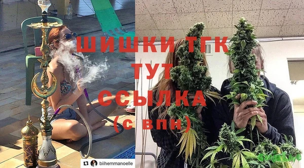 ГАЛЛЮЦИНОГЕННЫЕ ГРИБЫ Надым