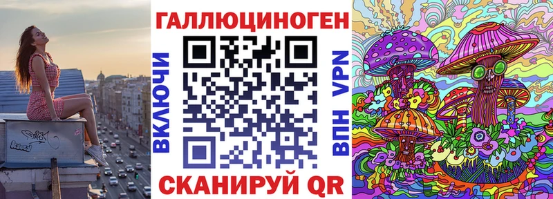 Купить  Колпашево  Галлюциногенные грибы Psilocybe 